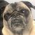Dan LeMay's profile image