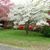 Carol Amos Wingate's profile image