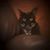 Ralph Krites's profile image