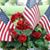 Carol Levesque's profile image