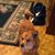 Alex Houle's profile image