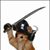 Tim Hout's profile image
