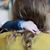 Katelyn Joy Oden's profile image
