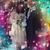 Dianna Fulmer's profile image