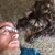 Steven Tryon's profile image