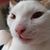 Ryan J Hanafin's profile image