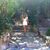 Jasmina Suljic's profile image