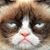 Dave Auer's profile image