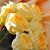 Minu Patel's profile image