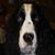 Mary Cumiskey's profile image