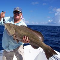 Larry Wilson's profile image