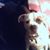 Sue Polacek's profile image