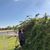 Corina Donis Folgar's profile image