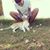 Omar Ezraignat's profile image