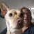 Christine Asher's profile image