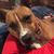 Deborah Romero's profile image