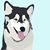 Juno Buchanan's profile image