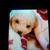 Minnie Cano's profile image