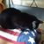 Jackie French's profile image