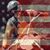 Dave Mitch's profile image