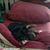 John E Maxlow's profile image