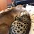 Tennille Sawin-Good's profile image