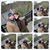 Andrew Foote's profile image