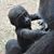 Sara Ashley Roberts's profile image