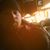 Joe Kocielko's profile image