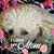 Carlene Schiller's profile image