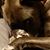 Kresta Allinder Capron's profile image