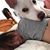 Rebecca Dietmeyer's profile image