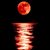 Sally Plance's profile image