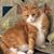 Lanna Waterman's profile image
