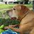 Tammy Williamson Miller's profile image