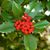 Jennifer Hulford's profile image