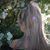 Cecilia Hulse's profile image