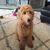 Angie Templeton's profile image