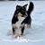 Ingrid Brown's profile image