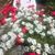 Janet Hutson's profile image