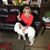 Linda Lane's profile image