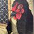 Jing Li's profile image