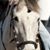 Jeanne Brown's profile image