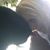 Susan M. Lane's profile image