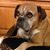 Christi Breaux Miller's profile image