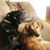 Sharon Winiecki Dressler's profile image
