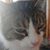 Arlene Rosebock Durbin's profile image