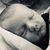Cheryl Lyn Horstman's profile image