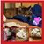 Zina Pirillis's profile image