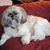 Bettyann Critelli's profile image